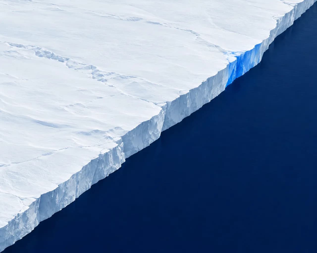 A snow-covered ice shelf cuts diagonally across still navy water, with one blue-lit edge.